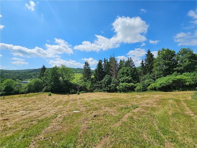 2857 County Route 84, Troupsburg, NY 14885 - view of wooded area