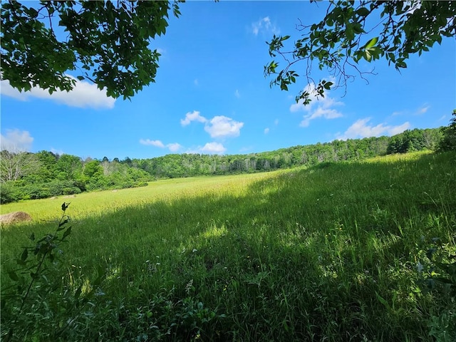 2857 County Route 84, Troupsburg, NY 14885 - view of wooded area