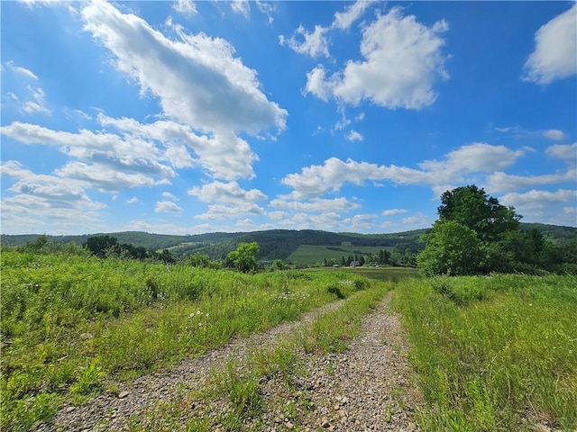 2857 County Route 84, Troupsburg, NY 14885 - view of mountain backdrop