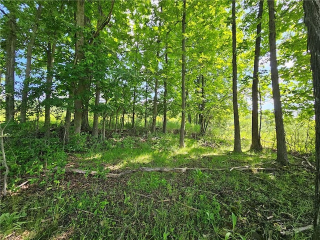 2857 County Route 84, Troupsburg, NY 14885 - view of nature