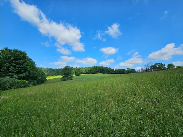 2857 County Route 84, Troupsburg, NY 14885 - view of undeveloped land with rural landscape