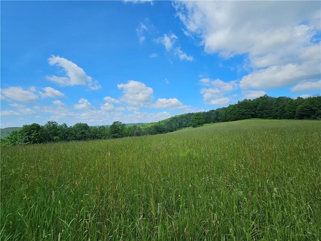 2857 County Route 84, Troupsburg, NY 14885 - view of local wilderness with rural landscape