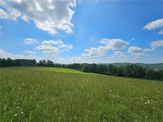 2857 County Route 84, Troupsburg, NY 14885 - view of wooded area with a view of countryside