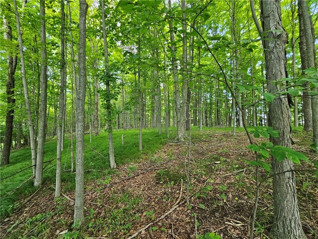 2857 County Route 84, Troupsburg, NY 14885 - view of wooded area