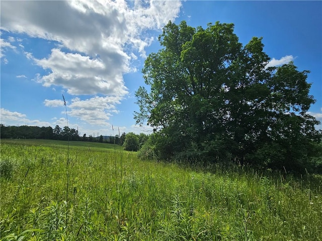 2857 County Route 84, Troupsburg, NY 14885 - view of undeveloped land with rural landscape