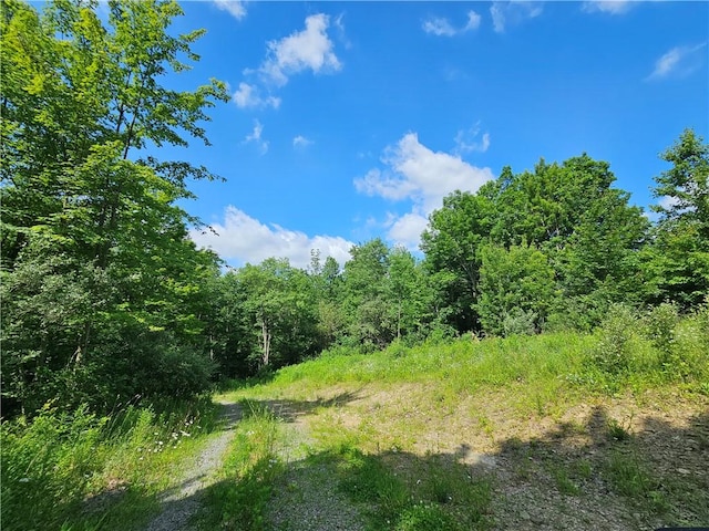 2857 County Route 84, Troupsburg, NY 14885 - view of tree filled area