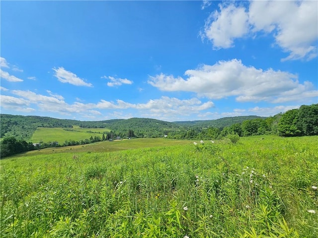 2857 County Route 84, Troupsburg, NY 14885 - view of mountain background with rural landscape