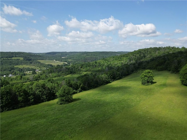 2857 County Route 84, Troupsburg, NY 14885 - aerial view of a heavily wooded area