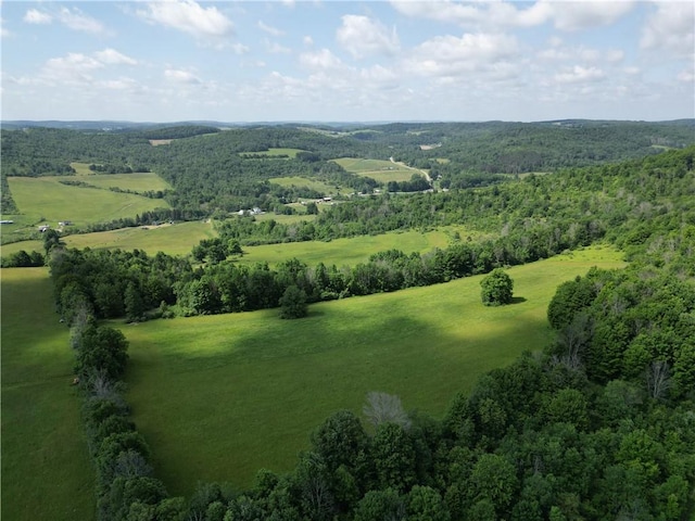 2857 County Route 84, Troupsburg, NY 14885 - aerial view of a heavily wooded area