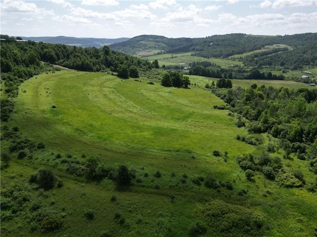 2857 County Route 84, Troupsburg, NY 14885 - view of mountain background