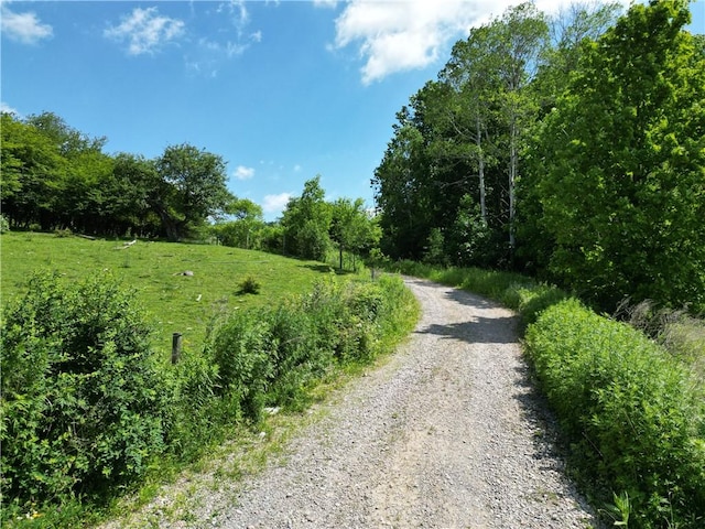 2857 County Route 84, Troupsburg, NY 14885 - view of road