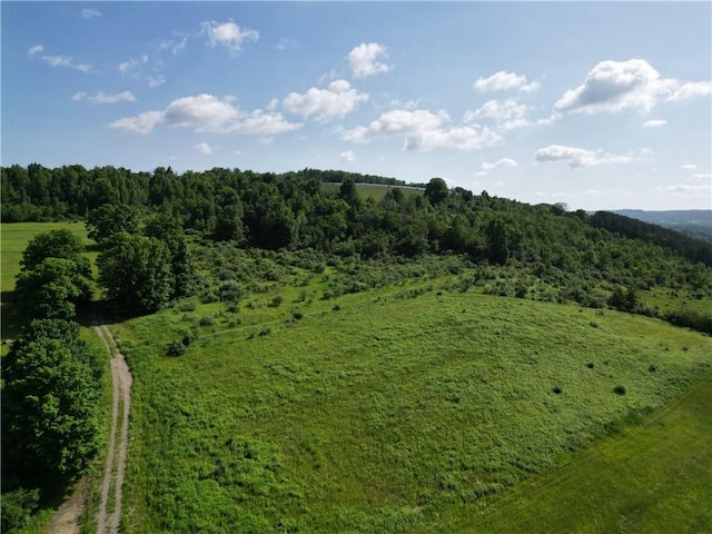 2857 County Route 84, Troupsburg, NY 14885 - drone / aerial view of a heavily wooded area