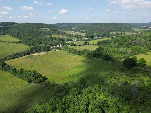 2857 County Route 84, Troupsburg, NY 14885 - view of property location featuring a heavily wooded area