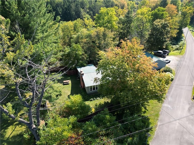 10849 New Oregon Rd, North Collins, NY 14111 - photo 41