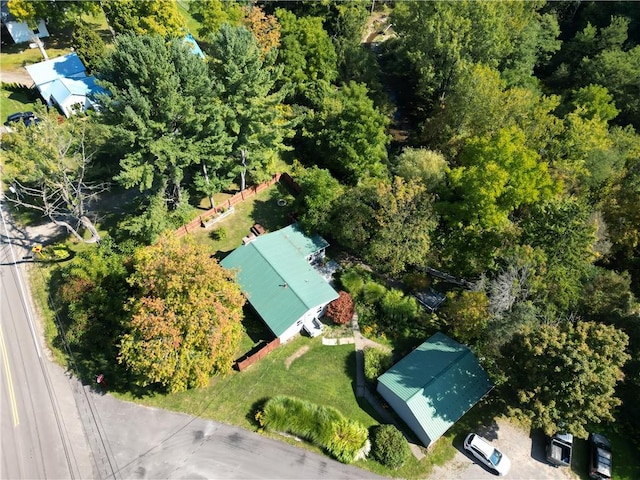10849 New Oregon Rd, North Collins, NY 14111 - photo 38