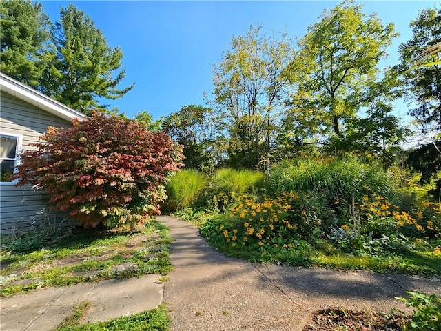 10849 New Oregon Rd, North Collins, NY 14111 - photo 2