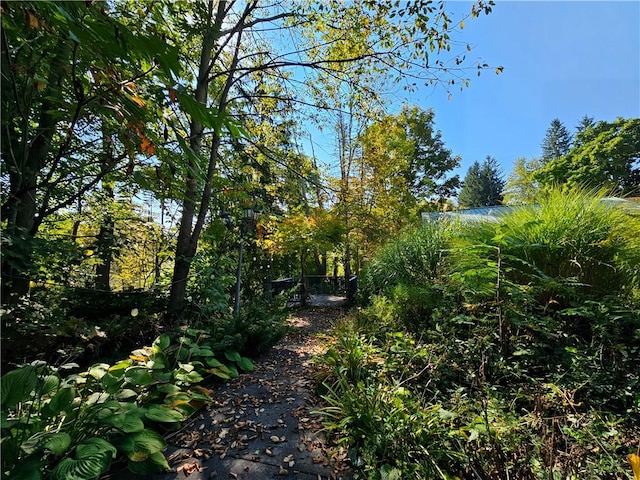 10849 New Oregon Rd, North Collins, NY 14111 - photo 6