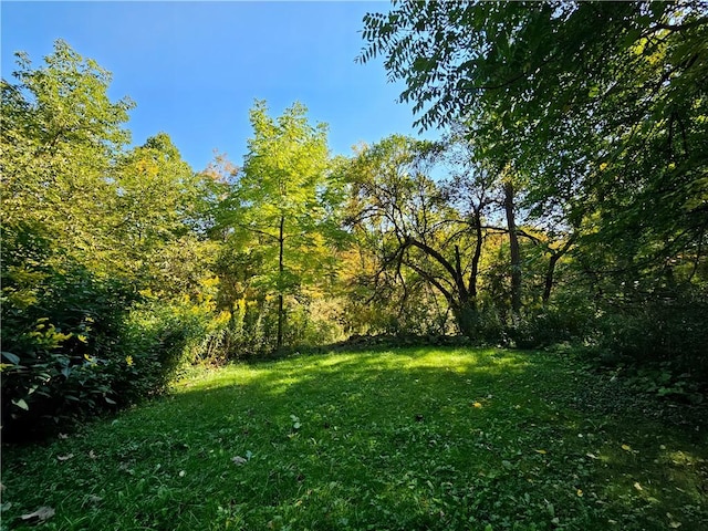 10849 New Oregon Rd, North Collins, NY 14111 - photo 16