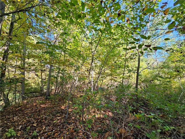 10849 New Oregon Rd, North Collins, NY 14111 - photo 18