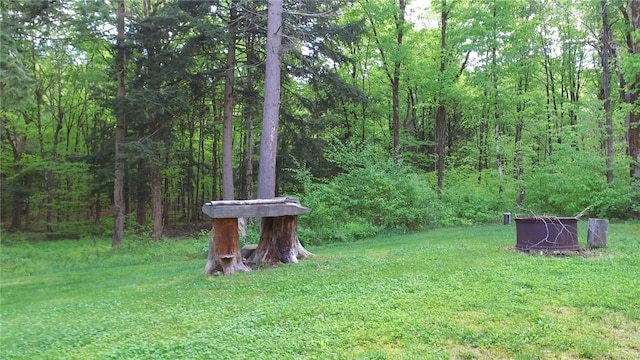 207 Cherry Ln, German, NY 13040 - photo 36