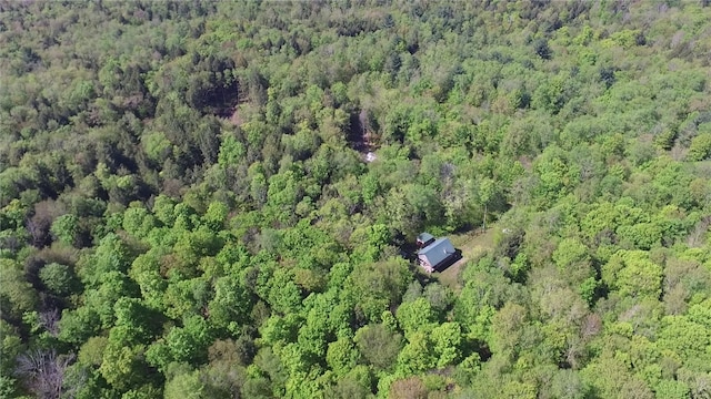 207 Cherry Ln, German, NY 13040 - photo 26