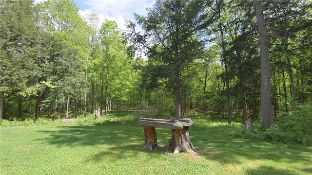 207 Cherry Ln, German, NY 13040 - photo 37