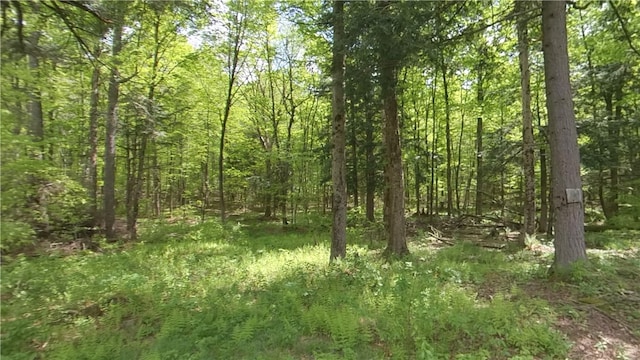 207 Cherry Ln, German, NY 13040 - photo 38