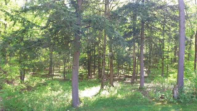 207 Cherry Ln, German, NY 13040 - photo 39