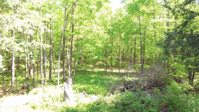 207 Cherry Ln, German, NY 13040 - photo 40