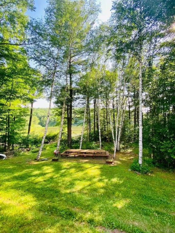 1565 Tupper Hill Rd, Franklin, NY 13775 - view of green lawn