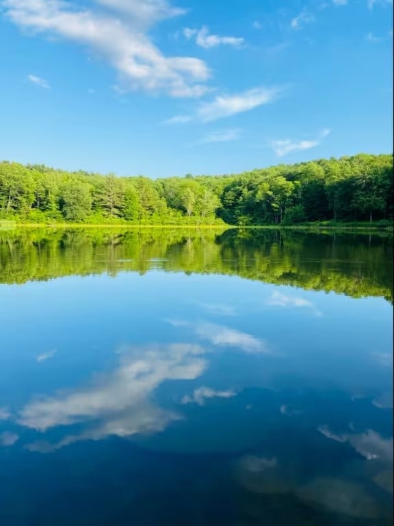1565 Tupper Hill Rd, Franklin, NY 13775 - water view featuring a heavily wooded area