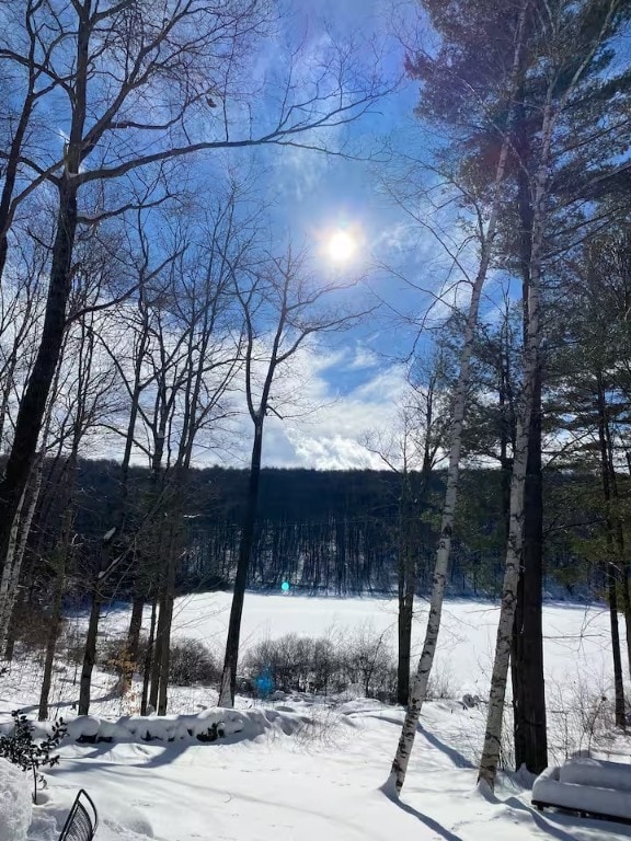 1565 Tupper Hill Rd, Franklin, NY 13775 - water view