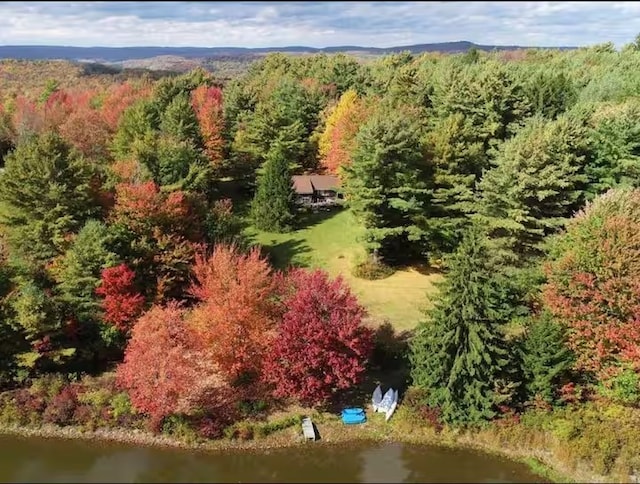 1565 Tupper Hill Rd, Franklin, NY 13775 - bird's eye view of a heavily wooded area