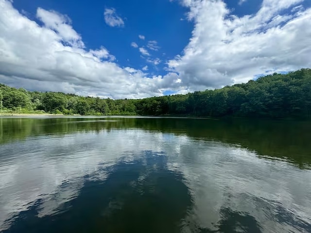 1565 Tupper Hill Rd, Franklin, NY 13775 - water view with a forest