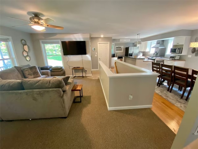1565 Tupper Hill Rd, Franklin, NY 13775 - living area with plenty of natural light, a ceiling fan, and light carpet
