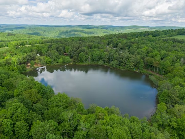 1565 Tupper Hill Rd, Franklin, NY 13775 - bird's eye view of a large body of water