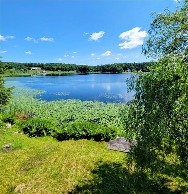 110 W Summit Rd, Edmeston, NY 13315