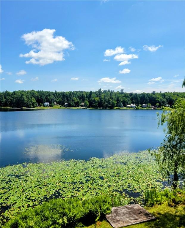 110 W Summit Rd, Edmeston, NY 13315
