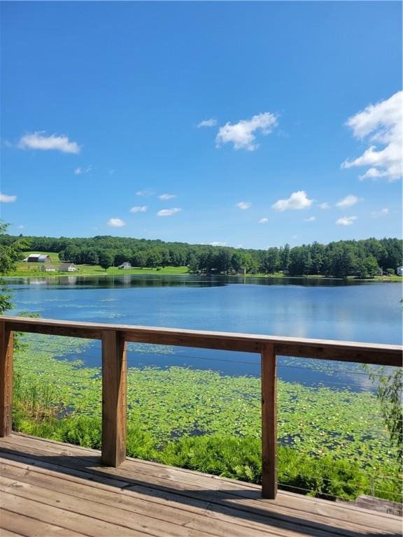 110 W Summit Rd, Edmeston, NY 13315