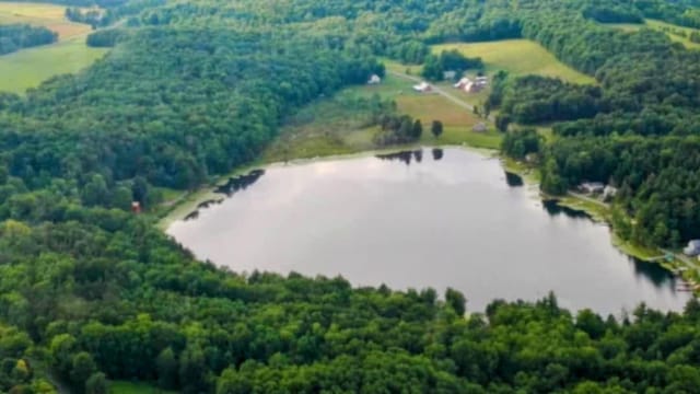 110 W Summit Rd, Edmeston, NY 13315