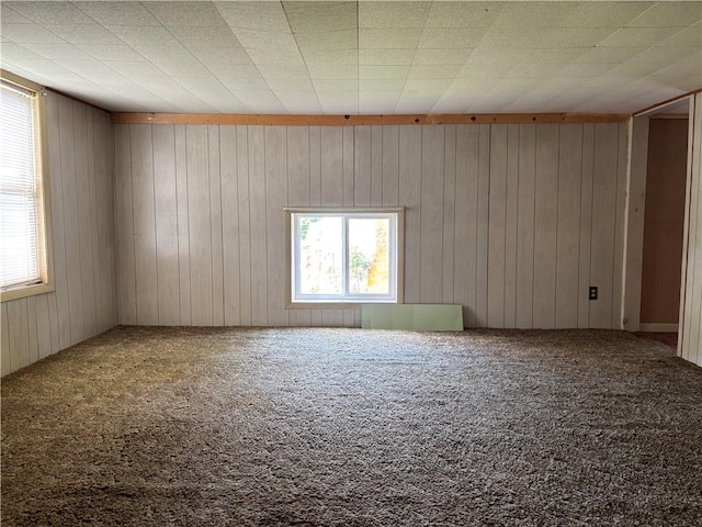 21 Main St, Maryland, NY 12155 - carpeted spare room featuring healthy amount of natural light and wood walls