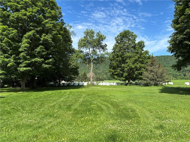21 Main St, Maryland, NY 12155 - view of green lawn