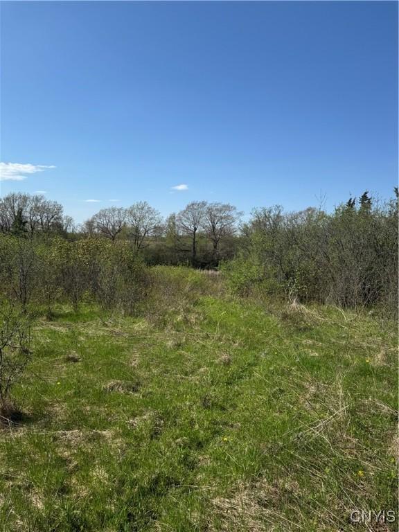 25985 Moffatt Rd, Lyme, NY 13634 - photo 8