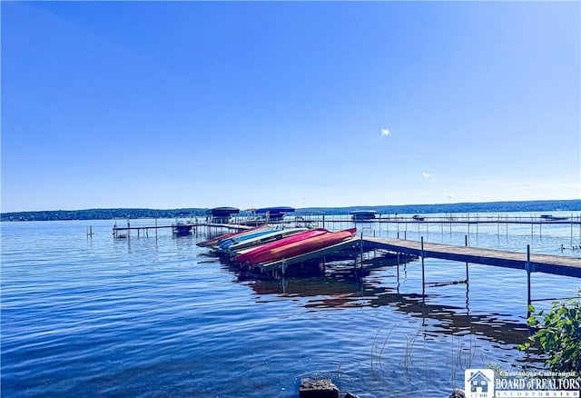 20 Elm Ln Unit E5, Chautauqua, NY 14722 - dock with a water view