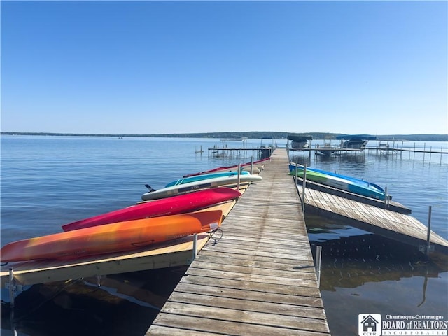 20 Elm Ln Unit E5, Chautauqua, NY 14722 - dock with a water view