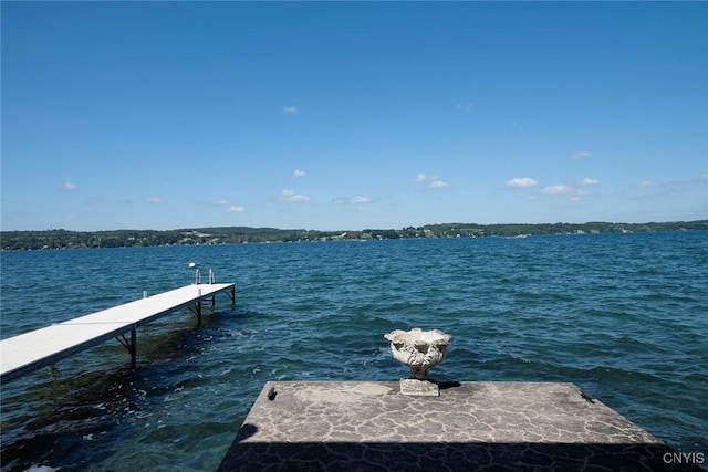 2761 E Lake Rd, Skaneateles, NY 13152 - dock featuring a water view