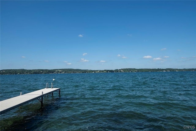2761 E Lake Rd, Skaneateles, NY 13152 - dock with a water view