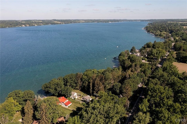 2761 E Lake Rd, Skaneateles, NY 13152 - aerial view of property's location featuring a nearby body of water and a forest