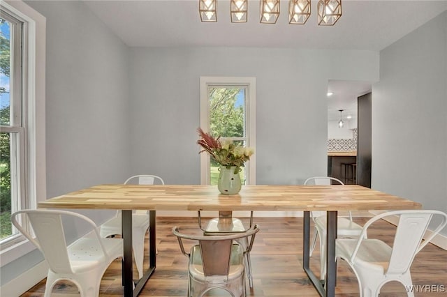 12 Clark St, Perry, NY 14530 - dining room featuring wood finished floors and baseboards