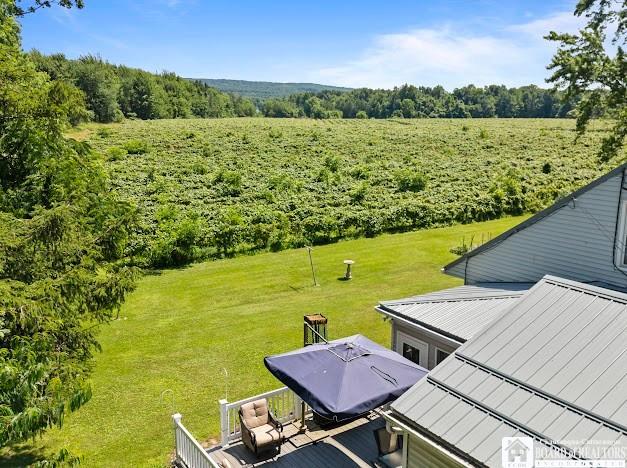 5005 W Main Rd, Pomfret, NY 14063 - view of green lawn with a deck and a wooded view